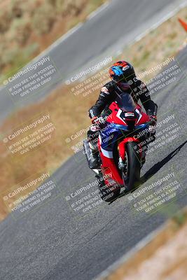 media/Jul-08-2023-2WTD (Sat) [[c8c0d2e149]]/B Group/1220pm (Turn 5)/